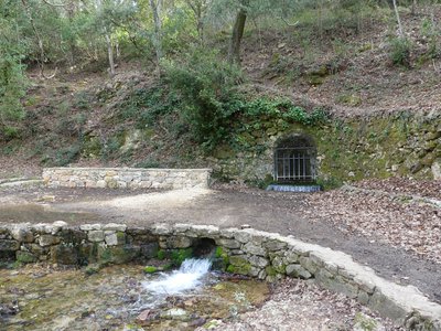 La source des Nayes