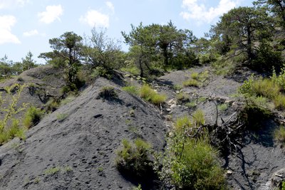 Marnes de la Grande Coste