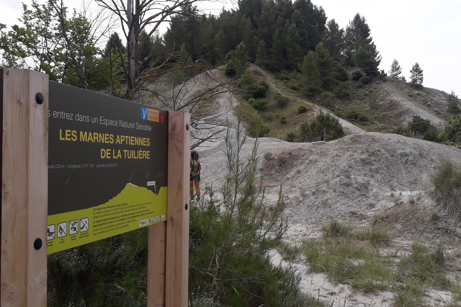 ENS des marnes aptiennes de la Tuilière