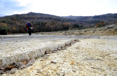 Dalle à empreintes fossilisées de Viens