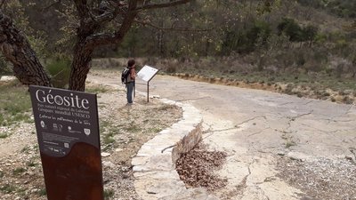Dalle à empreintes fossilisées de Viens