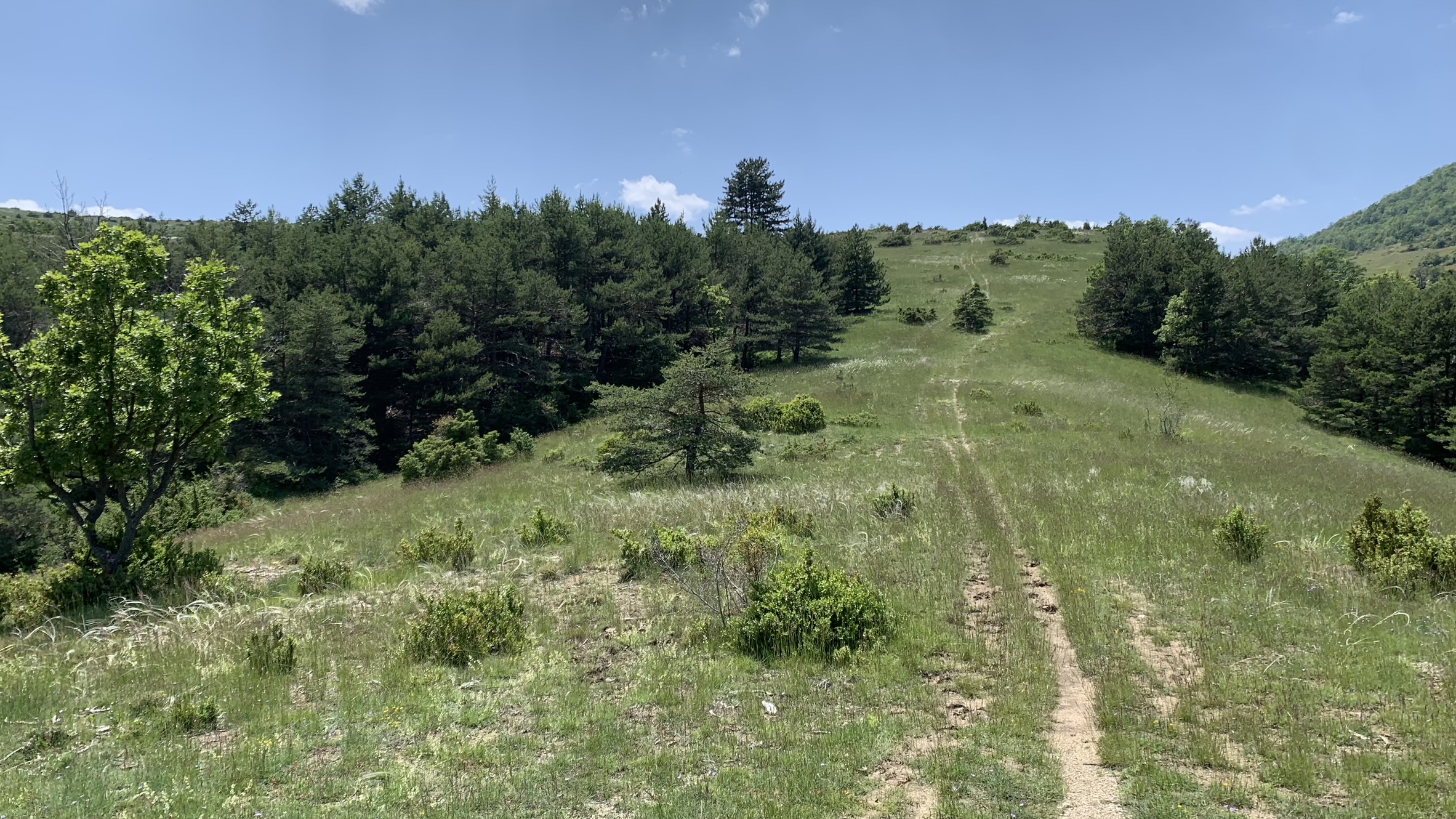 Montée au col de la Jas