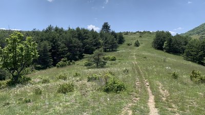 Montée au col de la Jas