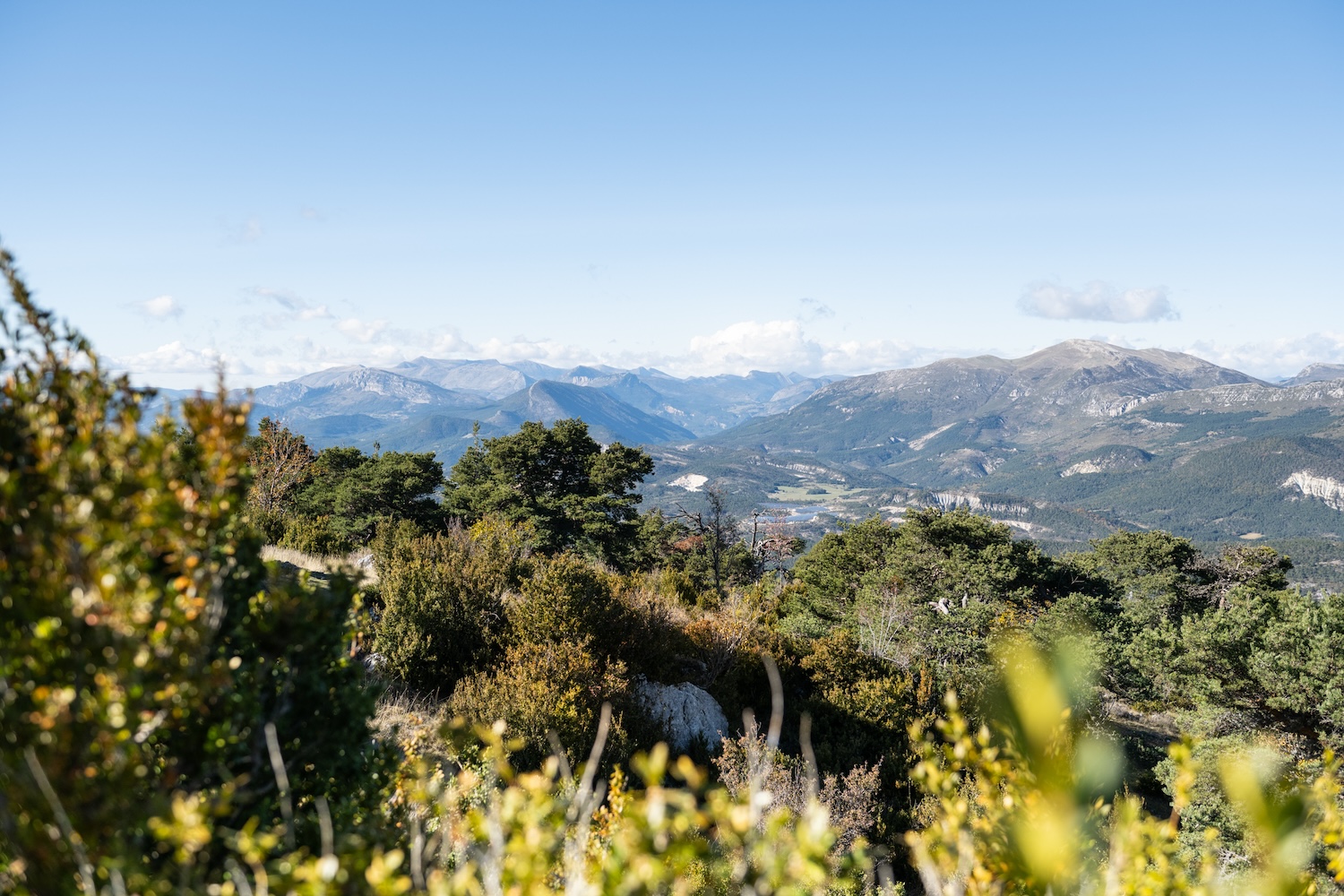 Point de vue