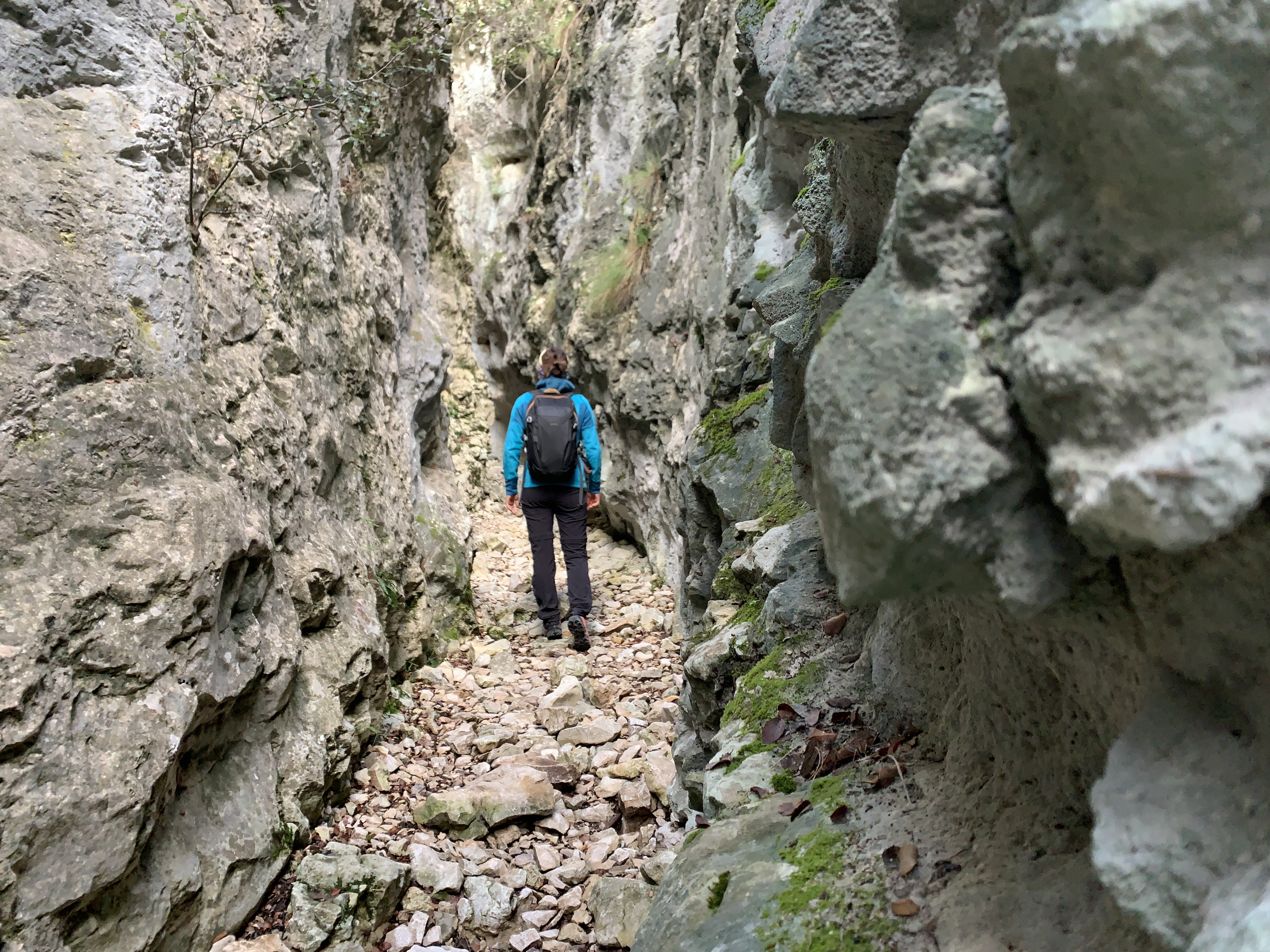 Combe de Curnier