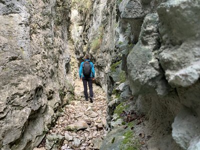 Combe de Curnier
