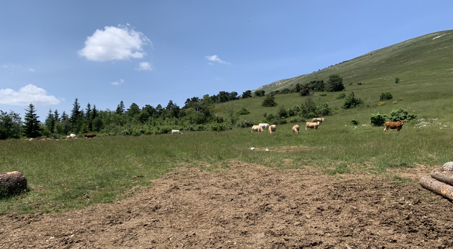 Le Col d'Arron © Léo Michelet - PNR des Baronnies Provençales