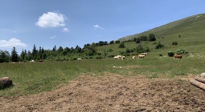 Le Col d'Arron © Léo Michelet - PNR des Baronnies Provençales