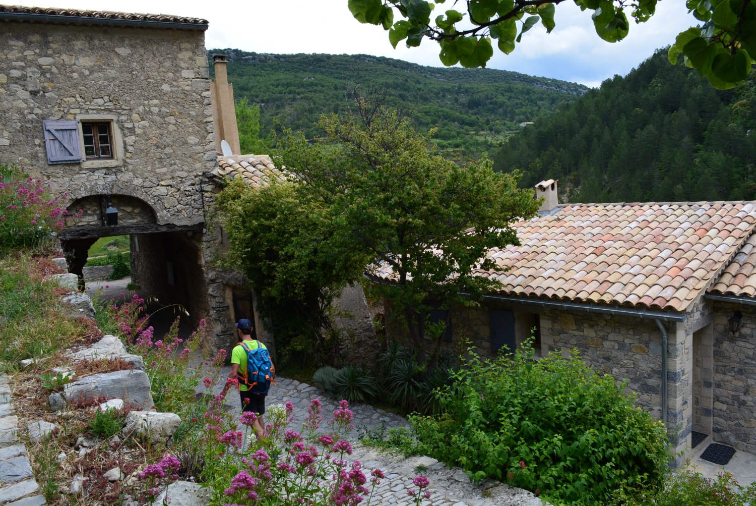 Brantes