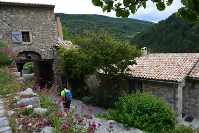 Brantes