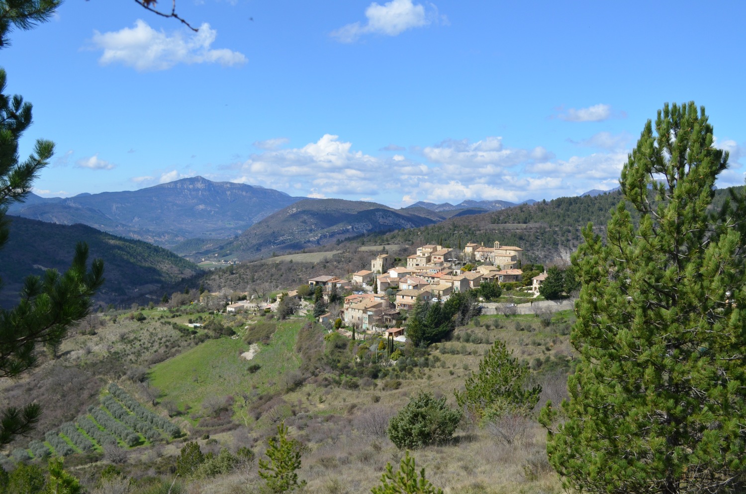 Arpavon