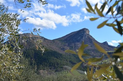 Le Rocher du Bramard depuis les hauteurs de Sahune © Pauline Amberg - PNR des Baronnies Provençales