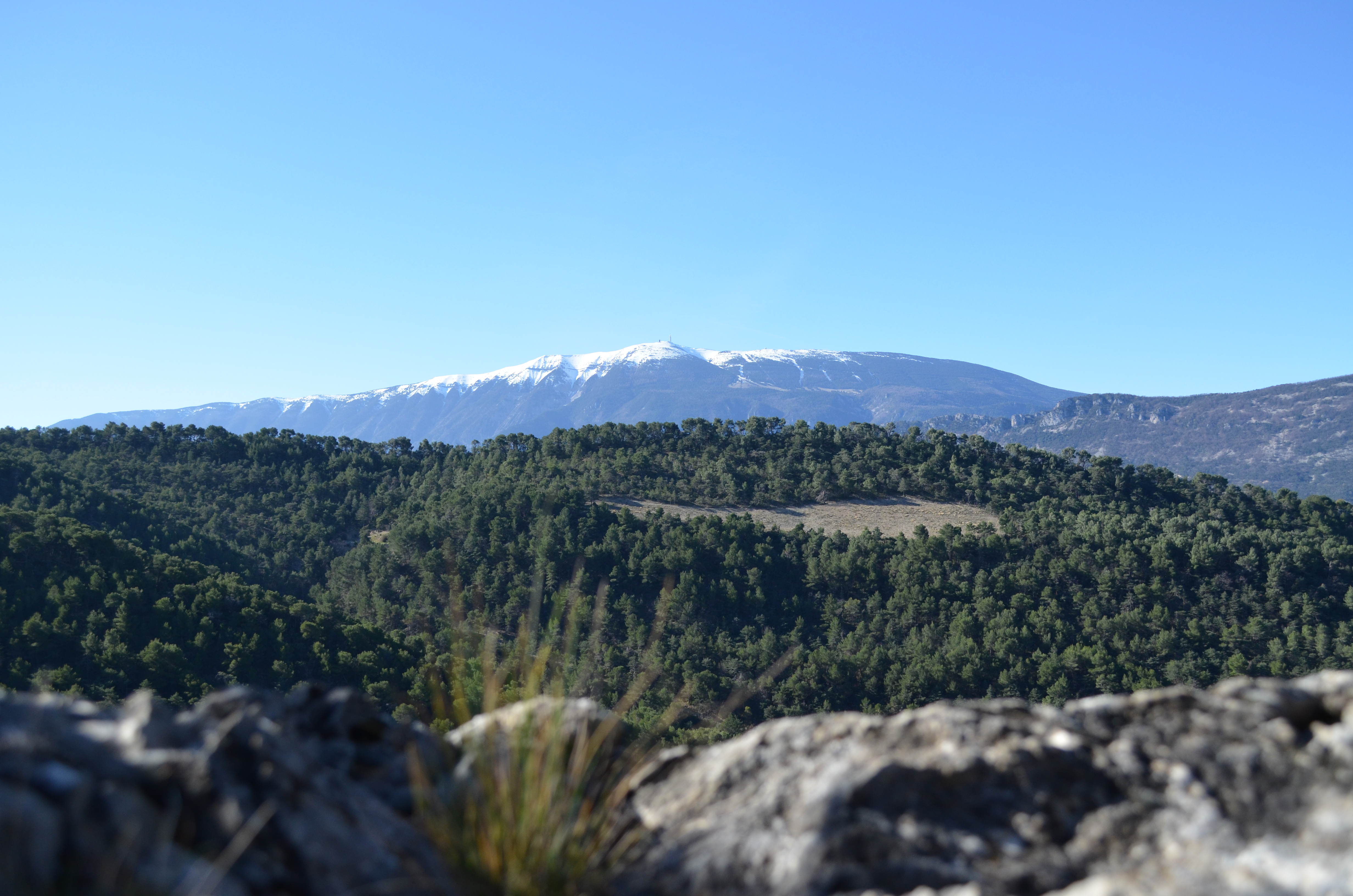 Le Mont-Ventoux depuis la Nible