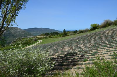 Arrivée au Poët-en-Percip