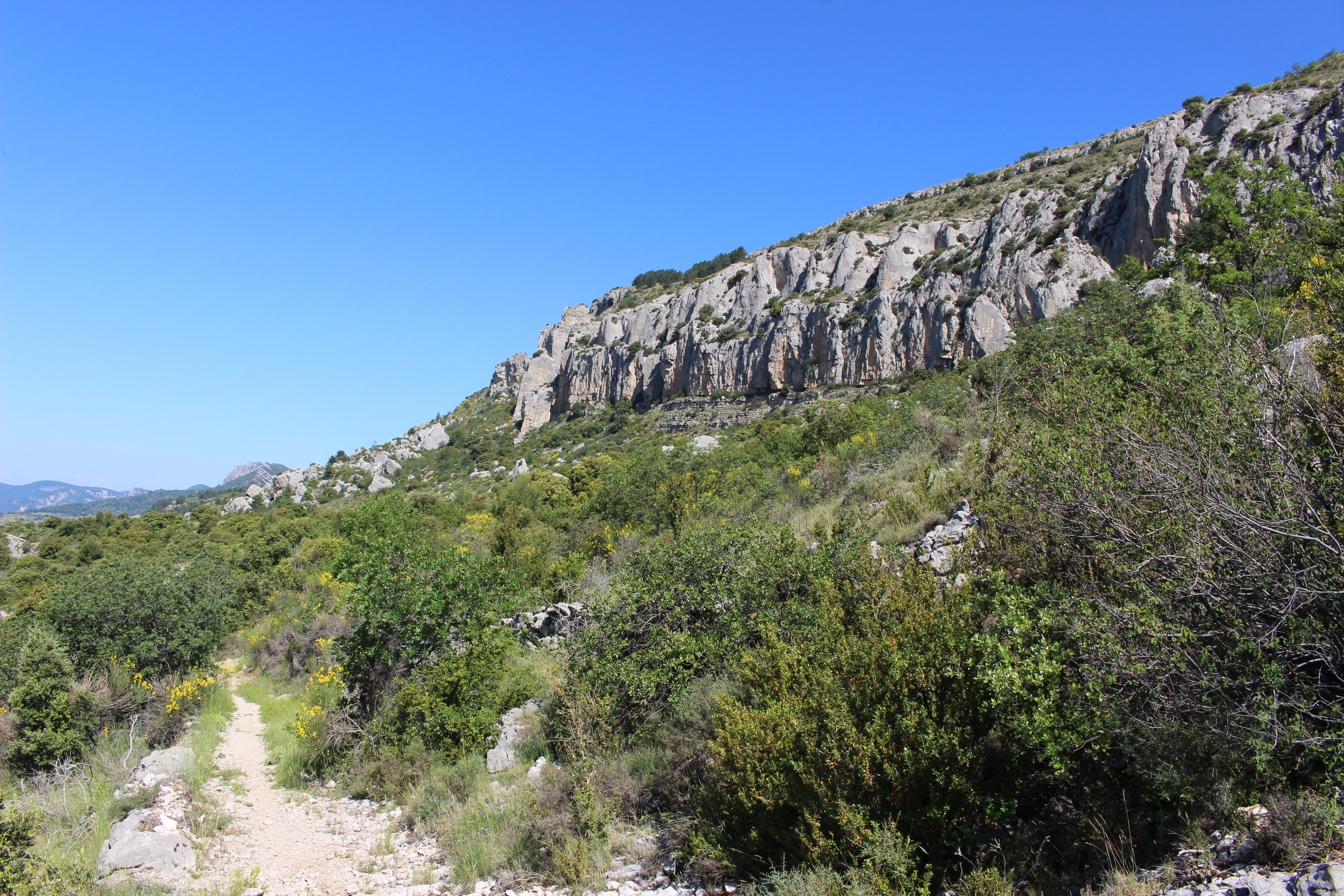 Les falaises au-dessus de la Roche-sur-le-Buis
