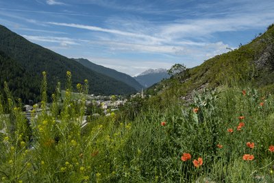 Aiguilles