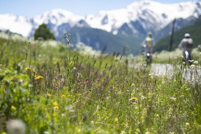 Alpages aux Prats-Hauts
