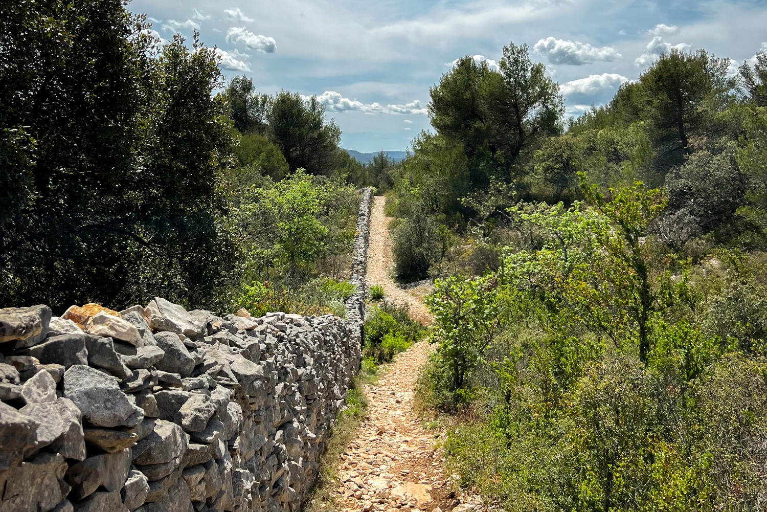 Mur de la Peste