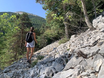 Ascension vers le sommet