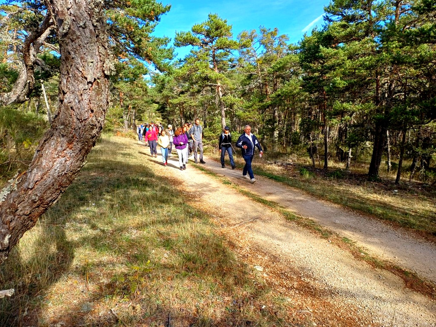 Sur les traces de la préhistoire