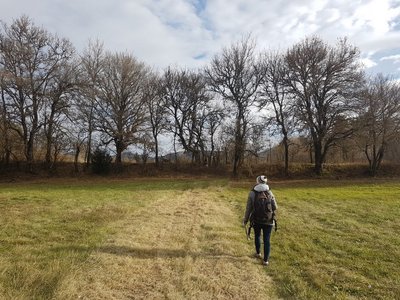 Sur les traces de nos ancêtres