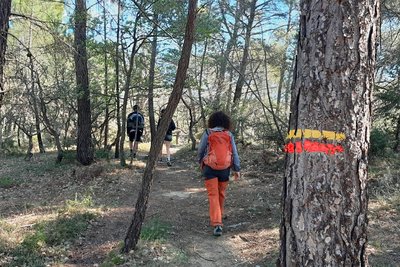 Sentier de Couvine