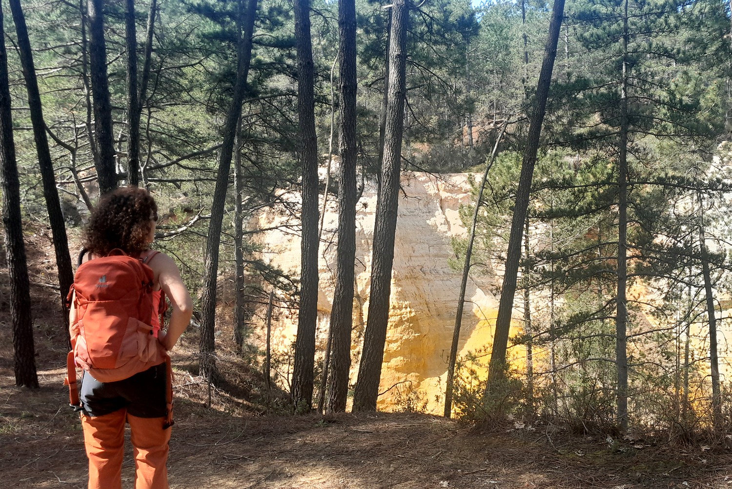 Chemin de Couvine