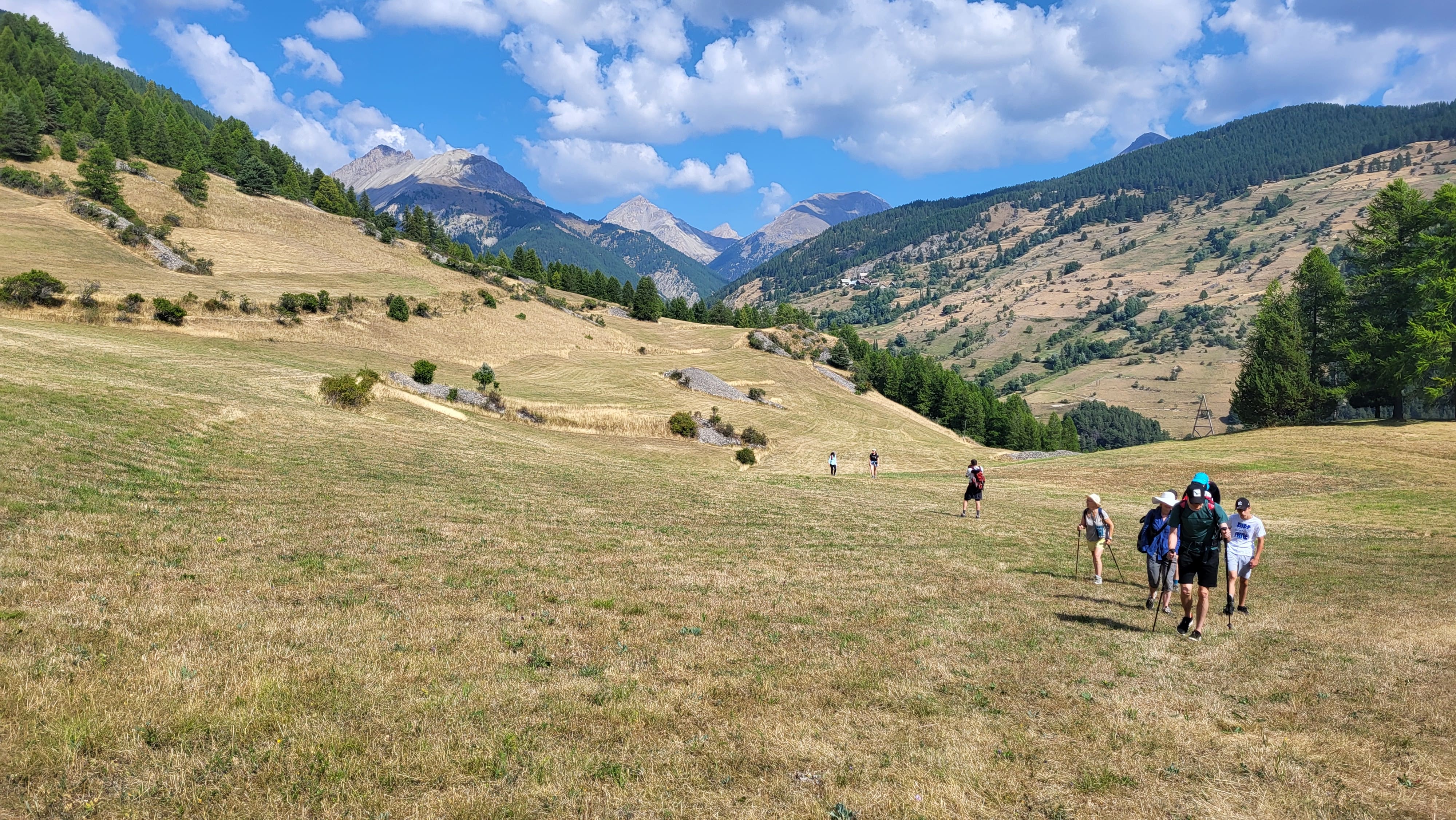 Dans les prés de Villargaudin