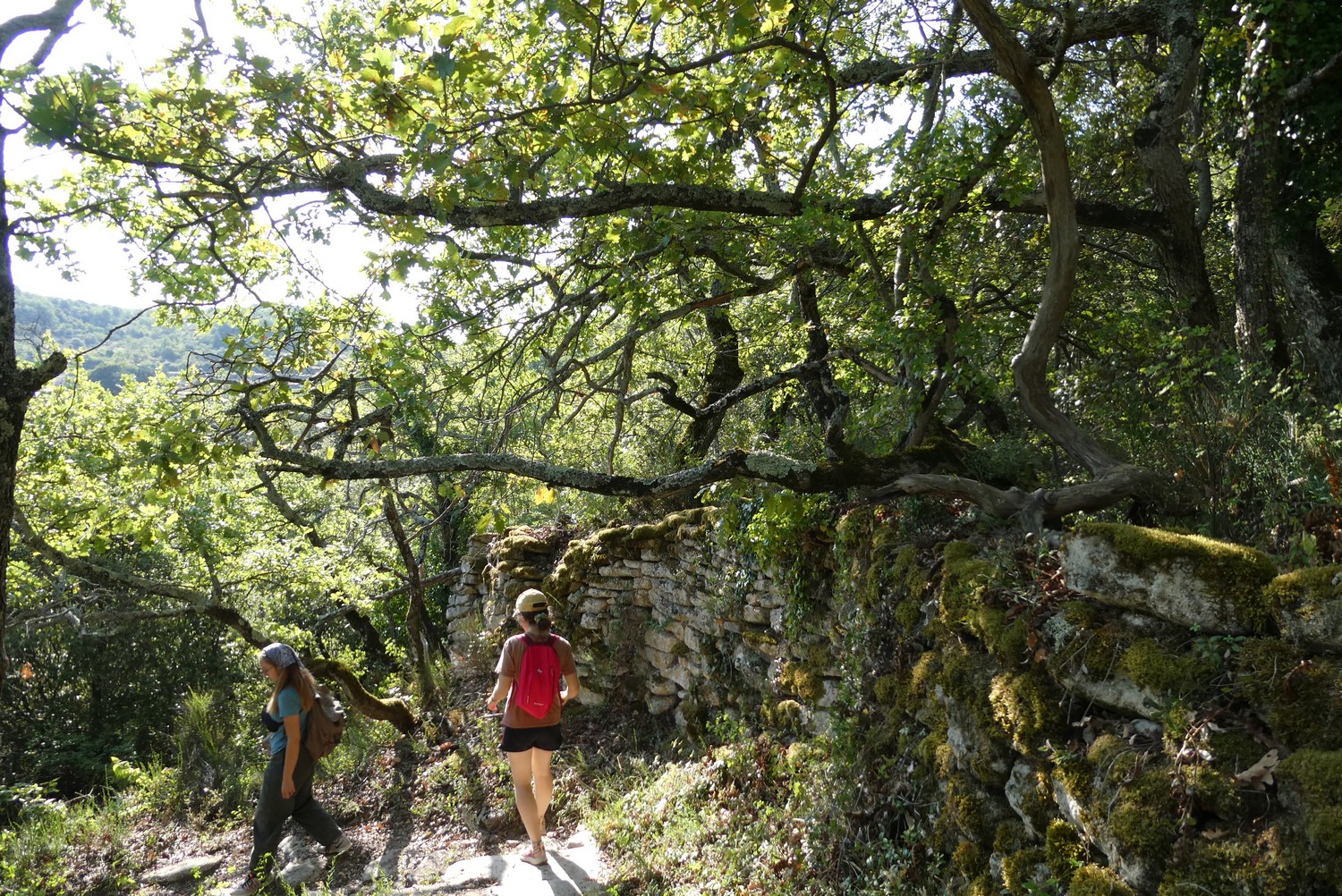 Chemin des Druides