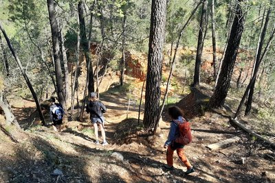 Sentier ocreux de Couvine
