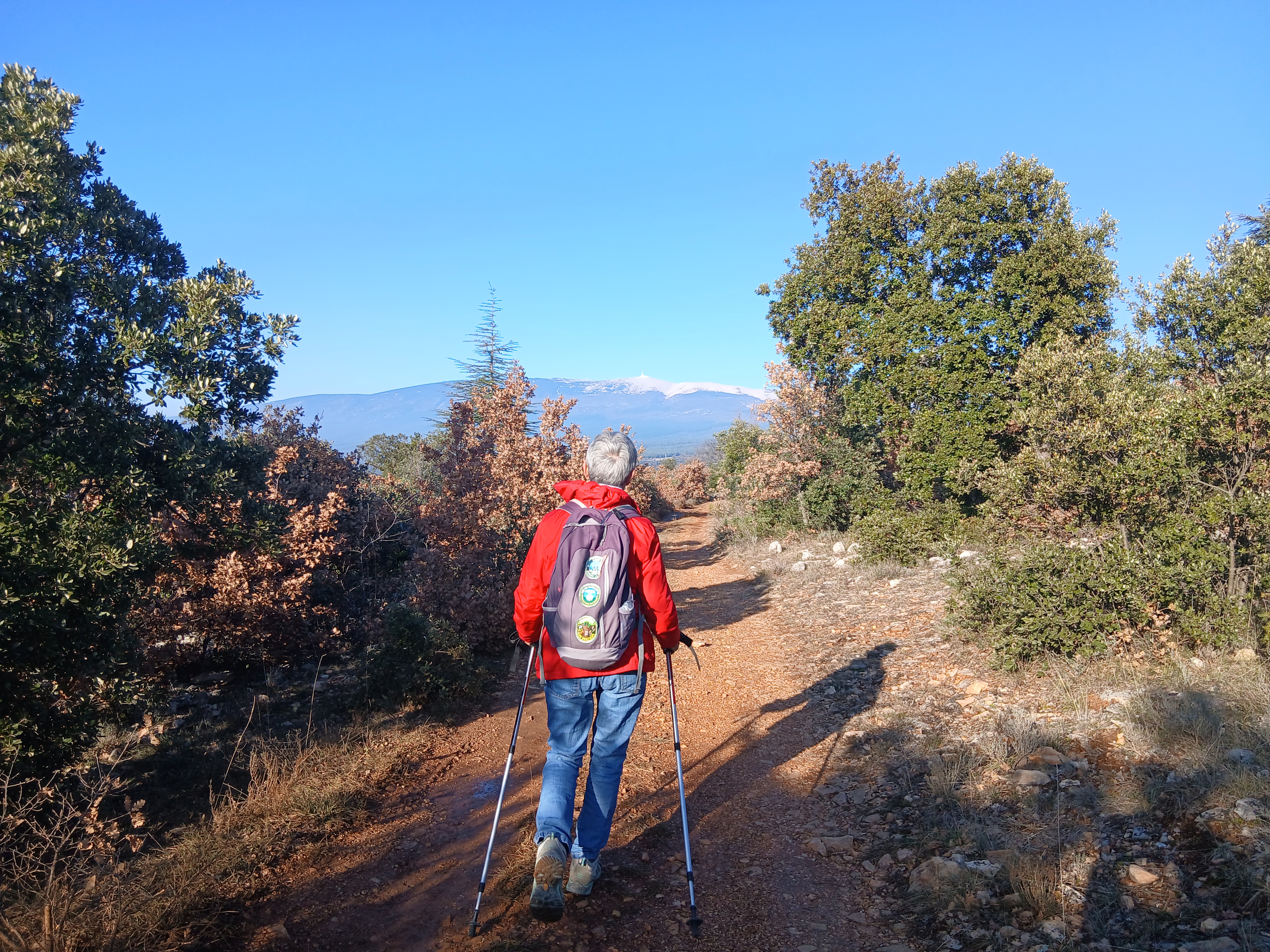 Vue sur le Ventoux