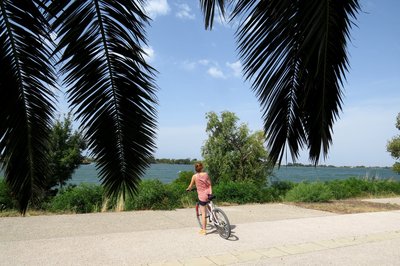 Cycliste sur les rives du Rhône