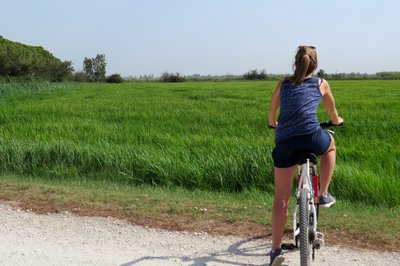 Cycliste devant une rizière