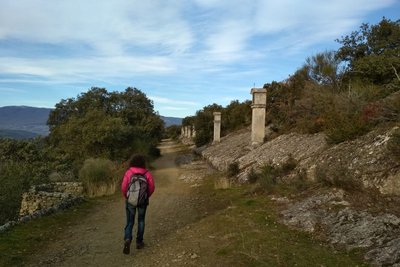 Chemin des Evêques