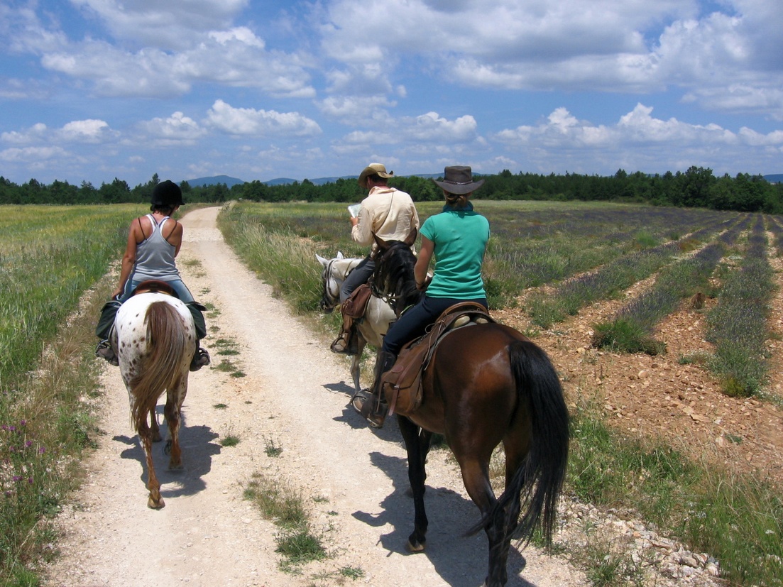 Livre équitation, Provence-Alpes-Côte d'Azur