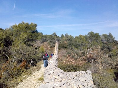 Le mur de la Peste