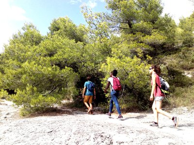 Fin de parcours du sentier botanique des Beaumettes