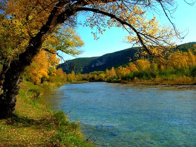 Automne au bord du Verdon