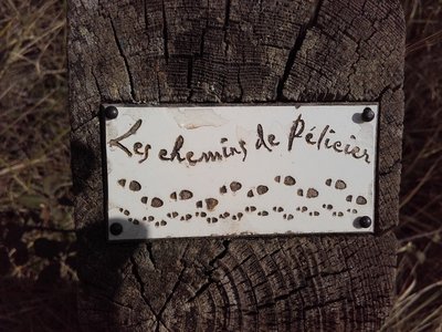 Signalétique dédiée
