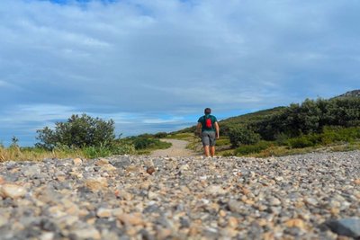 A la découverte des oiseaux des Alpilles