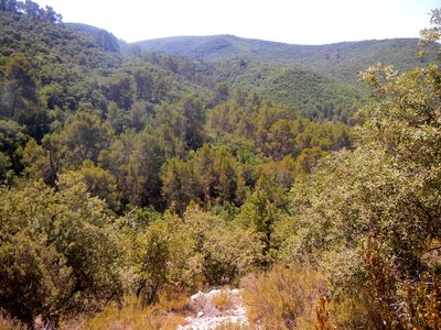 Collines du haut Var