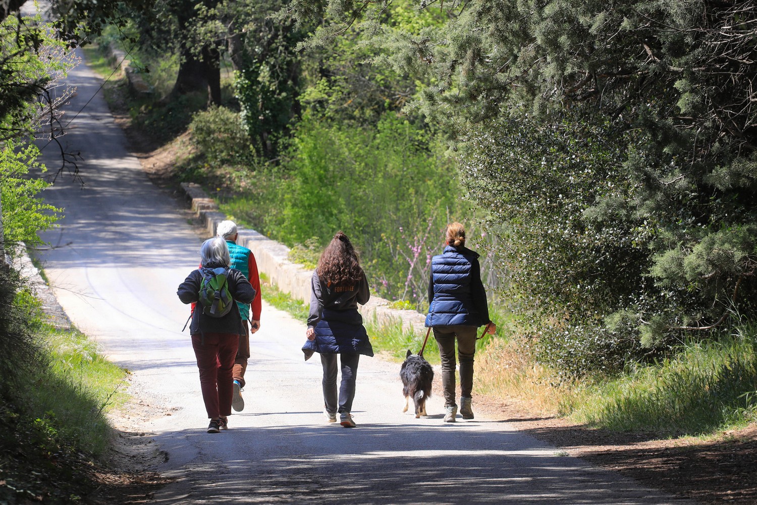 Chemin de Pierrouret