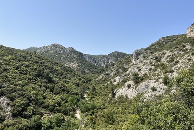 Vallon de Recaute