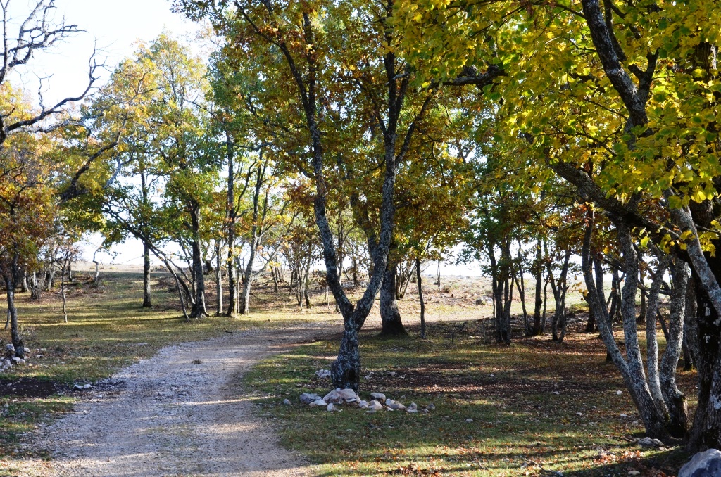 Piste de Briasq