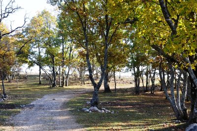 Piste de Briasq