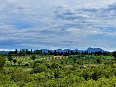 Paysage provençal