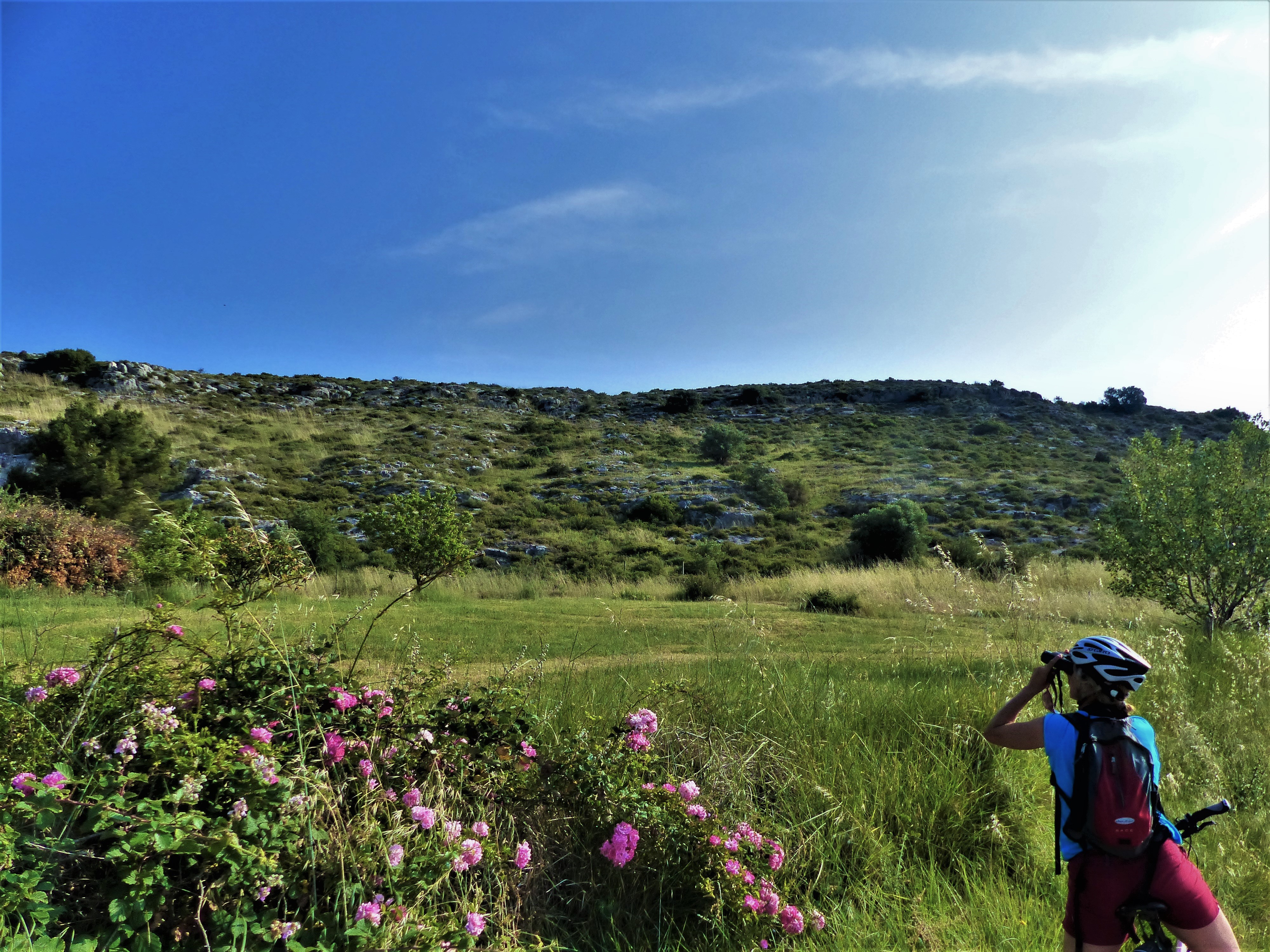 Observation d'oiseaux, colline de la Pécoule