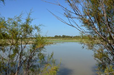 Marais du Verdier