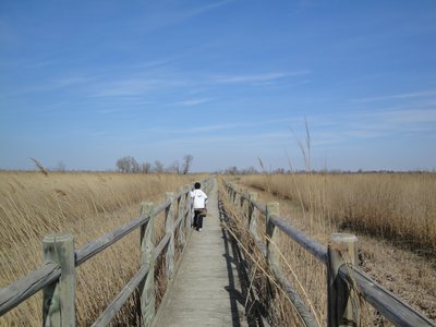 Sentier du Pont de Rousty