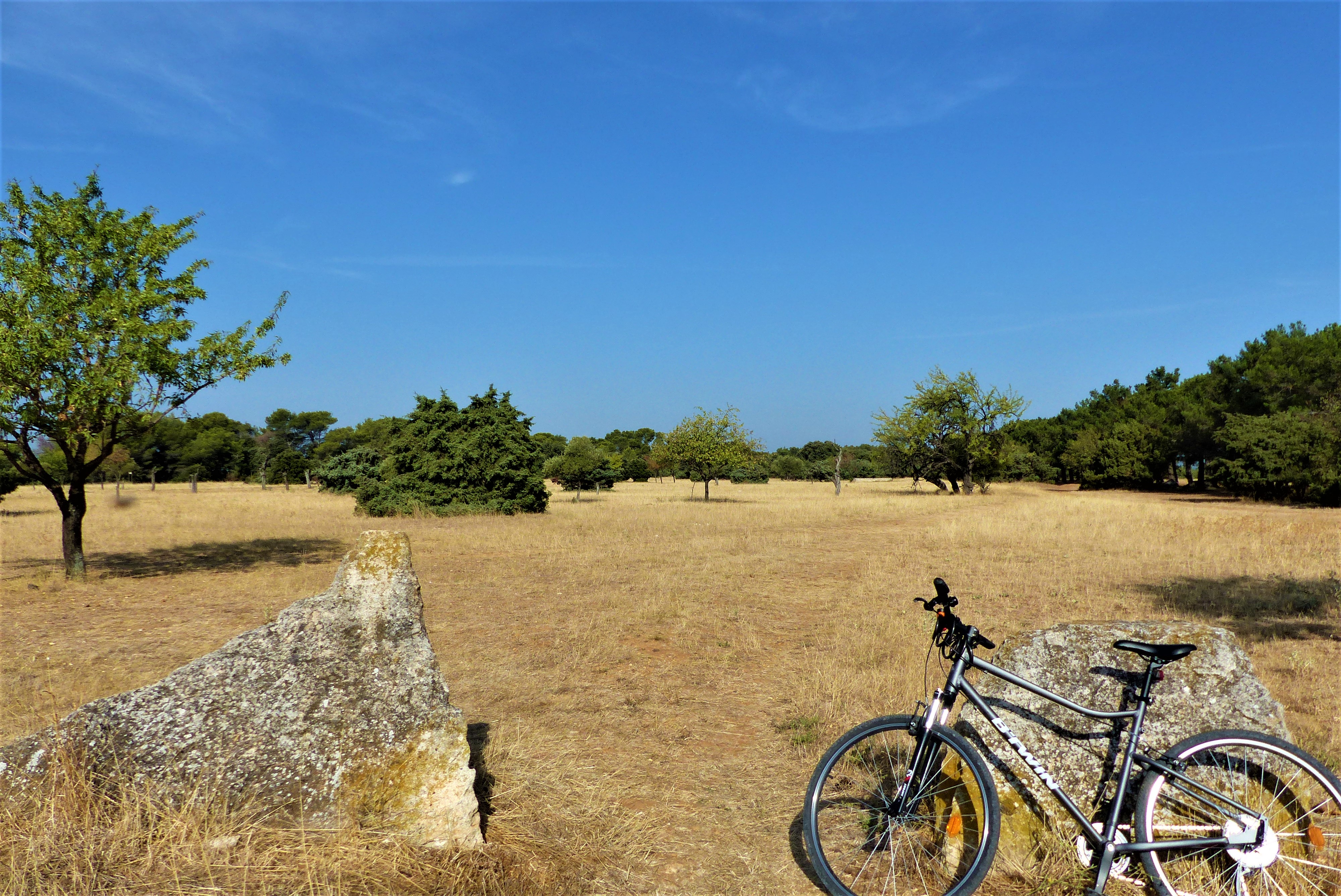 Paysage de la Petite Crau